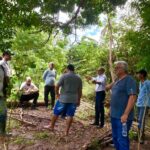 ​Uniprópolis inicia processo de escolha de beneficiários para produção de própolis vermelha em Maragogi