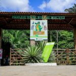 Ações sustentáveis marcam o Dia Mundial do Meio Ambiente em Maceió