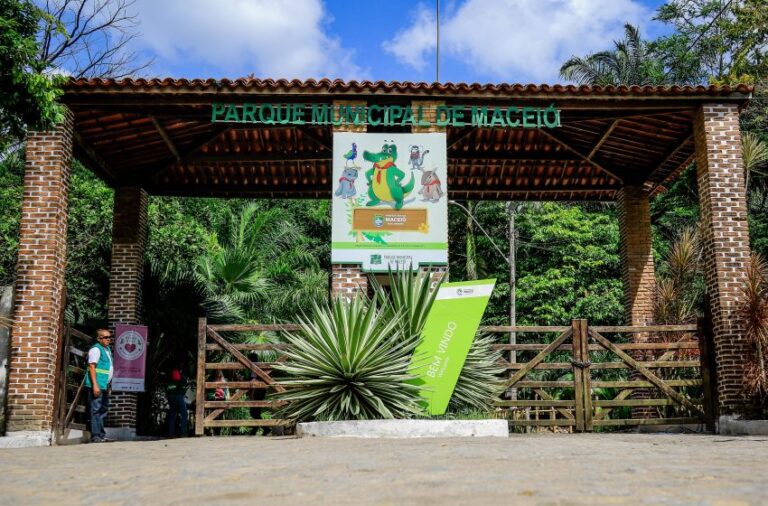 Ações sustentáveis marcam o Dia Mundial do Meio Ambiente em Maceió