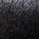 Fim de semana de Carnaval terá chuvas passageiras e tempo instável em Alagoas