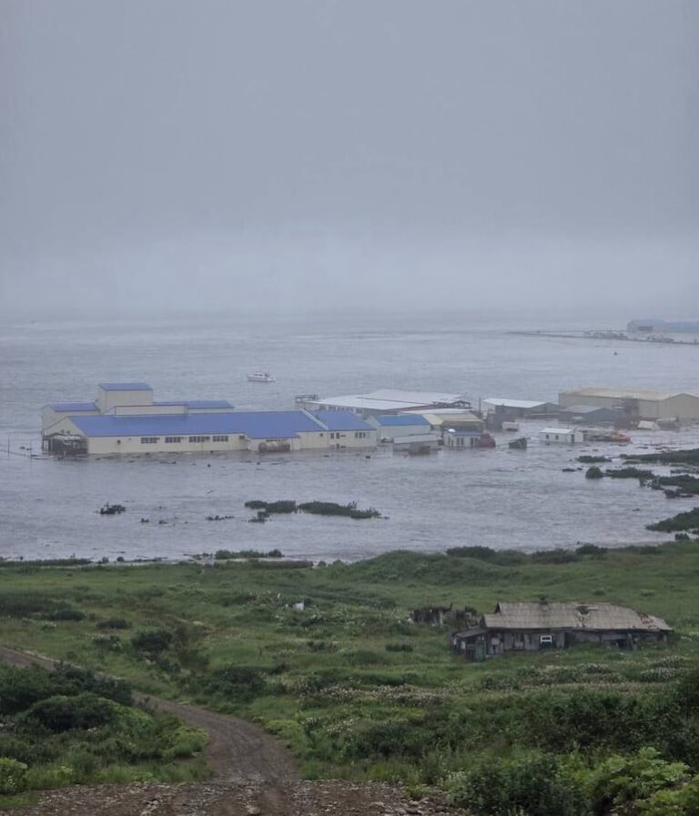 Tsunami atinge Rússia e Japão após terremoto