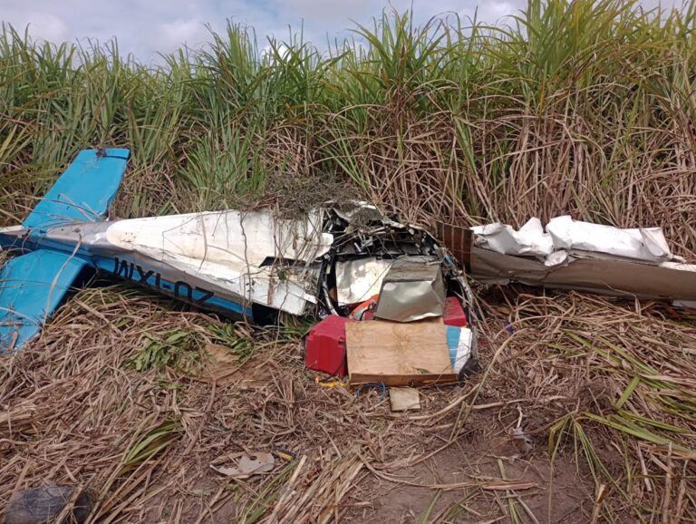 Corpo de piloto australiano é identificado em Alagoas