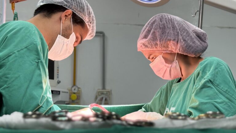 HGE realiza captação de dois rins e um fígado para transplante