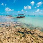 Alagoas emerges as one of Brazil’s most breathtaking destinations, with a journey from north to south