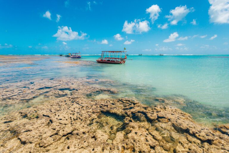 Alagoas emerges as one of Brazil’s most breathtaking destinations, with a journey from north to south
