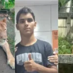Jovem morto por leoa em João Pessoa tinha histórico de abandono, transtornos mentais e passagens pela polícia