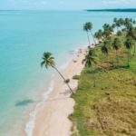 Porto de Pedras: MPF promove diálogo para garantir acesso de pescadores