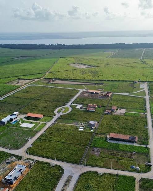 Usina é obrigada a suspender queimadas que prejudicam moradores de condomínio no Pilar