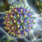 Nipah: o vírus que preocupa a Ásia