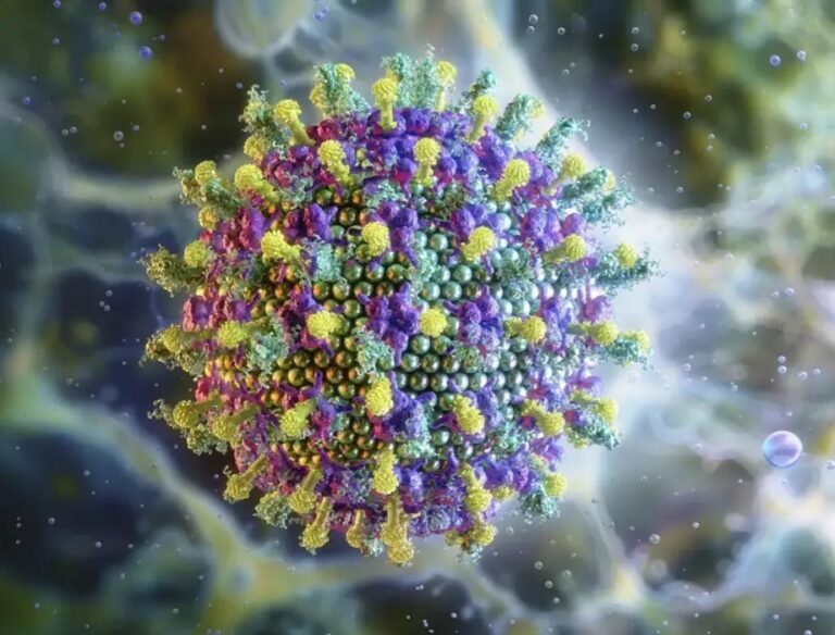 Nipah: o vírus que preocupa a Ásia