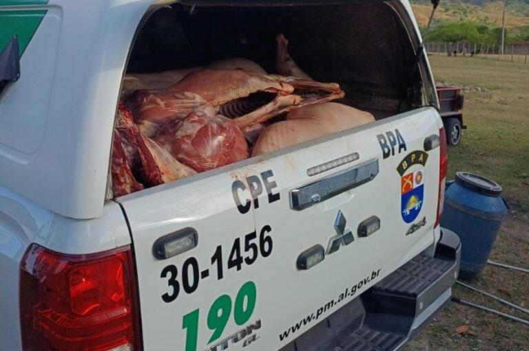 Polícia flagra abatedouro clandestino em União dos Palmares