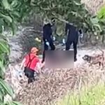 Corpo é encontrado em rio no município de Branquinha