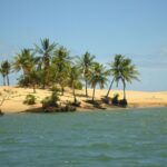 Carnaval do Pontal do Peba é sem paredão e carros na praia