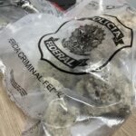 Retirada de corais de habitat natural é crime ambiental