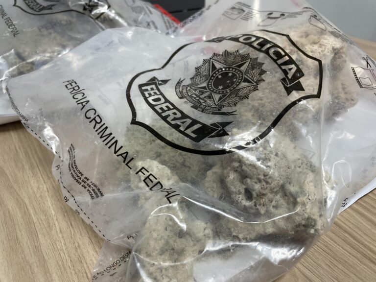 Retirada de corais de habitat natural é crime ambiental