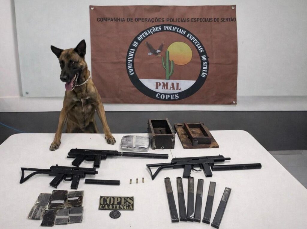 Polícia apreende metralhadoras e drogas em ônibus interestadual