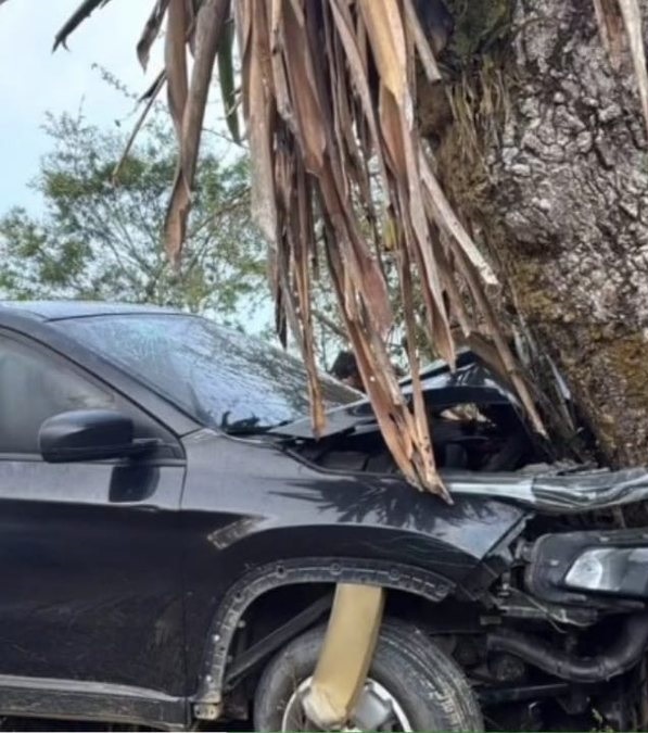 Suspeitos de roubar carro em Viçosa morrem após troca de tiros com a polícia