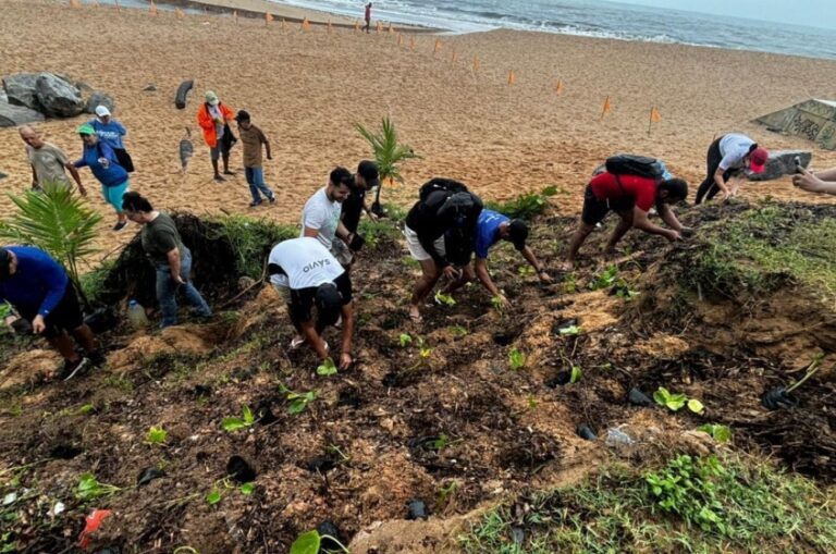 Autarquia faz mutirão de limpeza na foz do Riacho Jacarecica