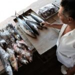 Nutricionista orienta sobre cuidados ao comprar e acondicionar o pescado para a Semana Santa