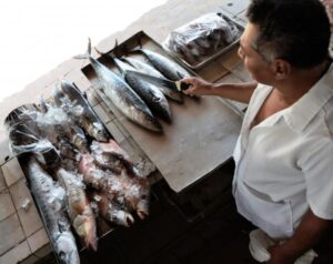 Nutricionista Sesau Orienta Acondicionar Pescado (Ascom Sesau) 0001