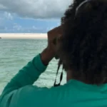 Elefante-marinho é avistado no litoral sul de Alagoas