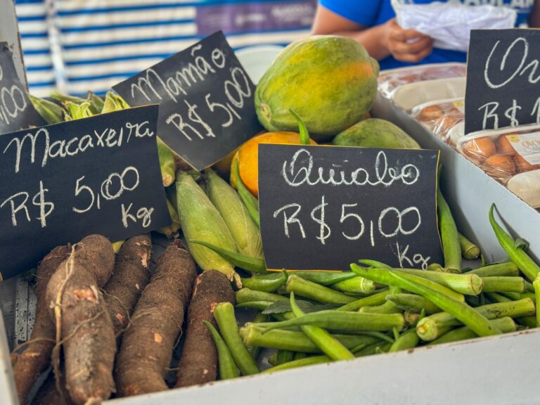 Feira da Agricultura Familiar em Murici terá produtores de oito municípios