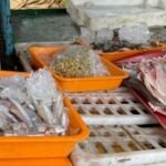 Pescados são apreendidos em Arapiraca antes da Semana Santa