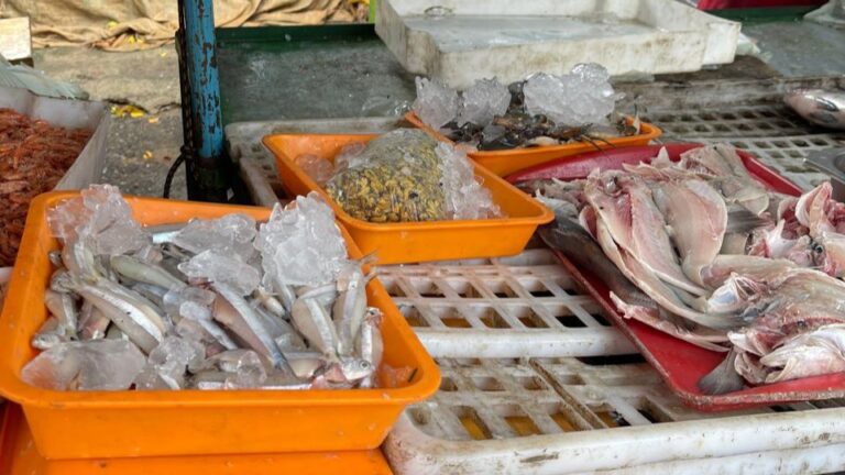 Pescados são apreendidos em Arapiraca antes da Semana Santa