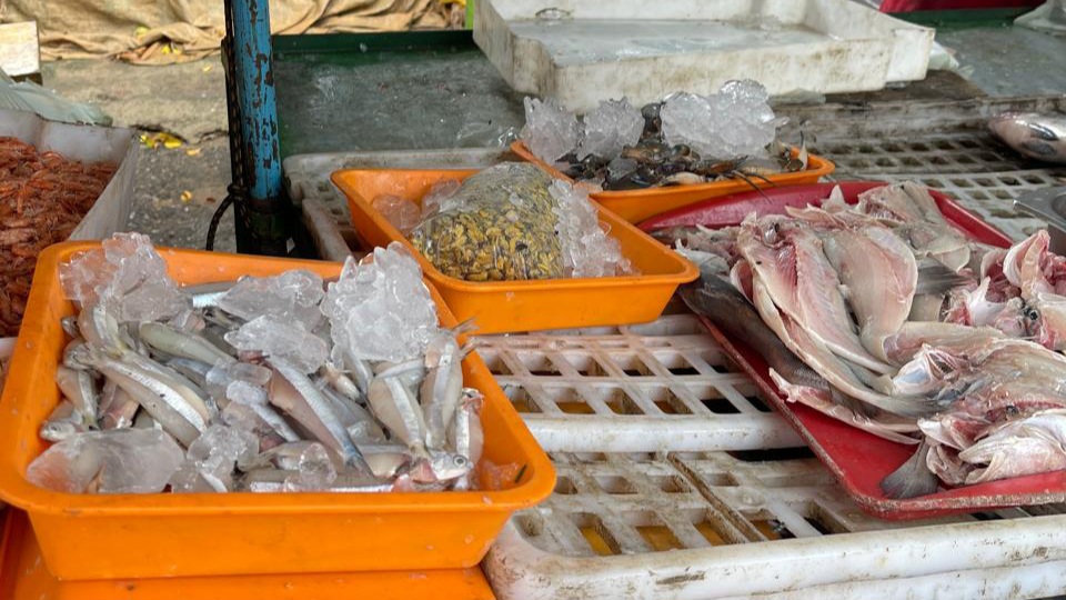 Pescados são apreendidos em Arapiraca antes da Semana Santa