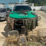 Polícia apreende armas, materiais de caça e pássaros silvestres