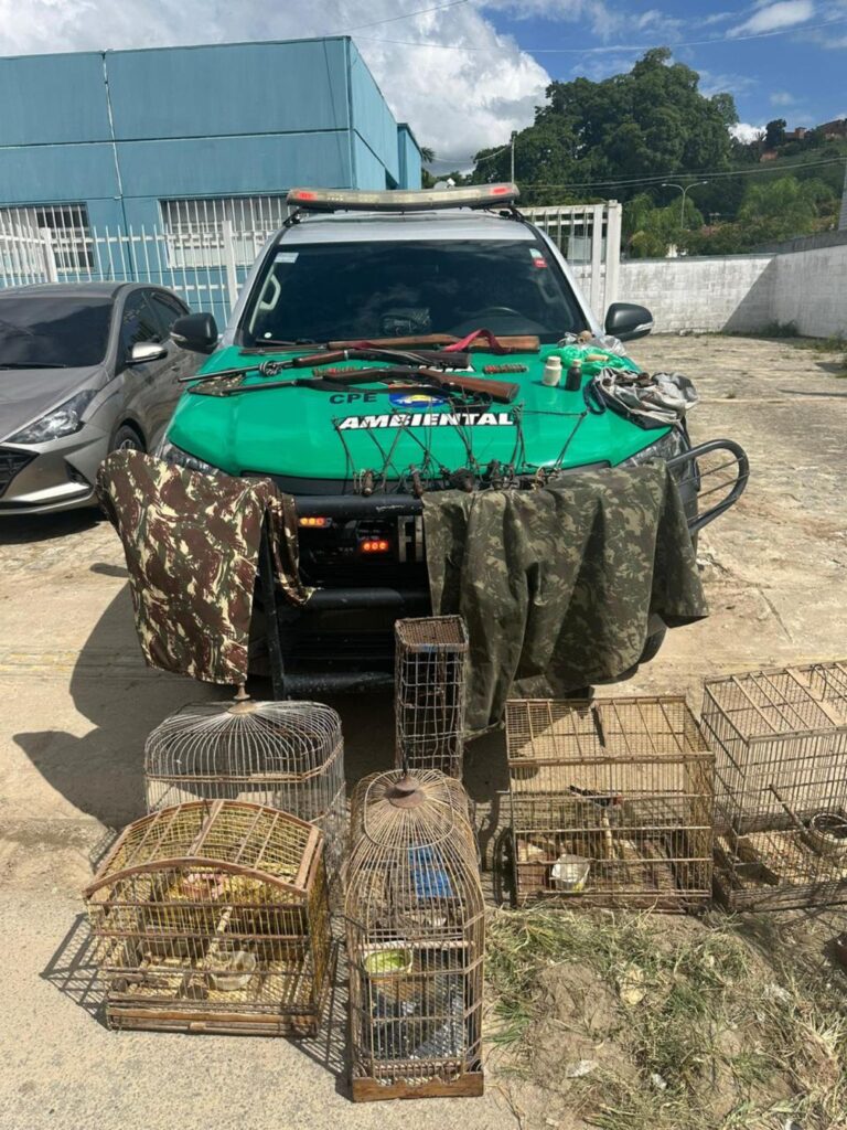 Polícia apreende armas, materiais de caça e pássaros silvestres