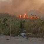 Suspeito de provocar incêndio criminoso em Maceió é preso