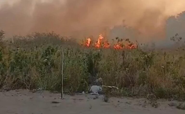 Suspeito de provocar incêndio criminoso em Maceió é preso