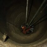 Bombeiros resgatam boi de poço com 30 metros de profundidade em Feira Grande