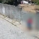 Cadela é resgatada com pata fraturada após caso de maus-tratos em Maceió