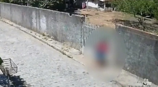 Cadela é resgatada com pata fraturada após caso de maus-tratos em Maceió