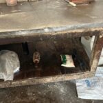 Vigilância Sanitária interdita panificação no Jacintinho