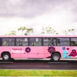 Ônibus da Mulher começa a circular em Maceió