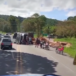 Caminhão carregado com madeira tomba em Satuba
