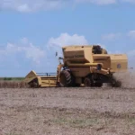 Agronegócio poderá usar linha de crédito do FAT para inovação