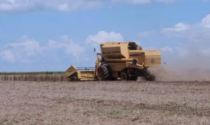 agronegocio