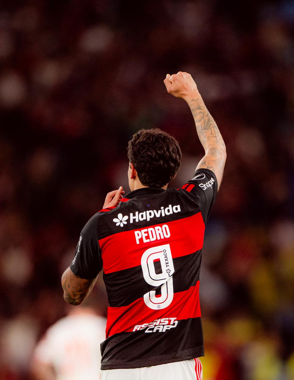 pedro flamengo libertadores