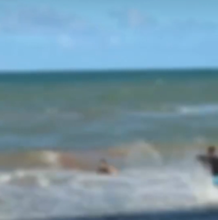 Mulher é atacada por tubarão na Praia de Boa Viagem, em Recife
