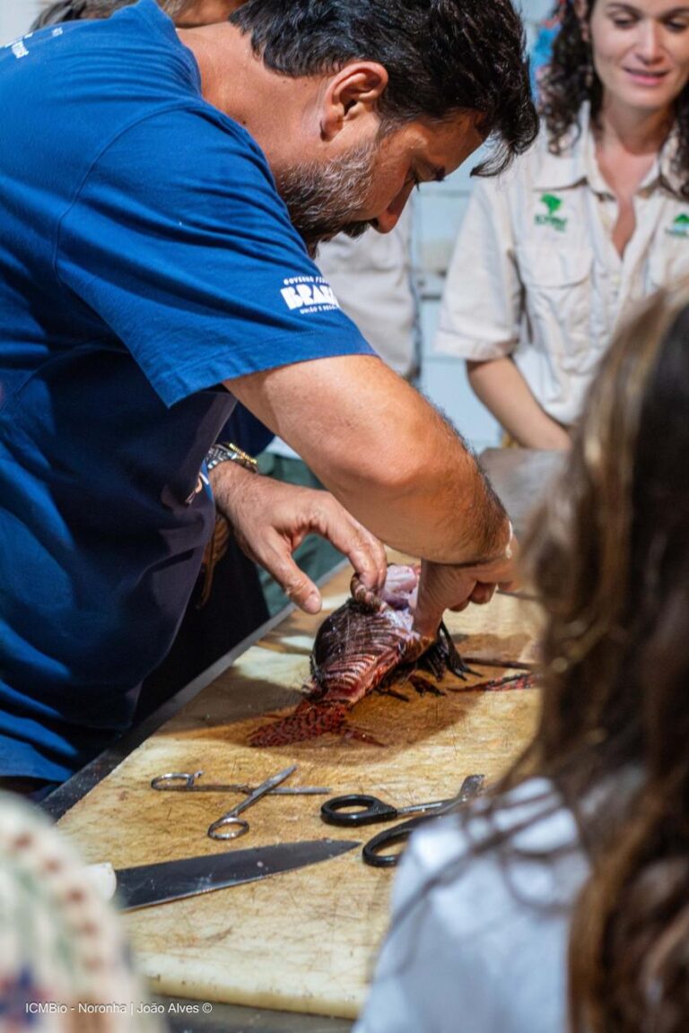 Professor da Ufal capacita mergulhadores em Fernando de Noronha para manejo com peixe-leão