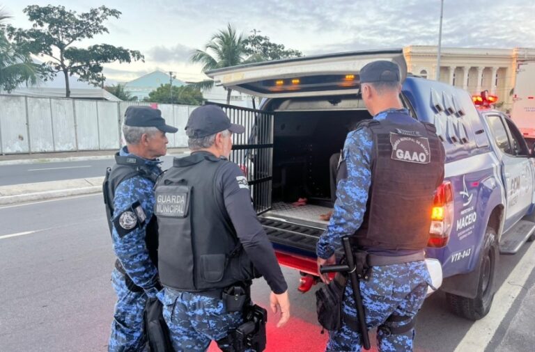 Guarda Civil Municipal prende suspeito de furto de cabos de iluminação em Maceió