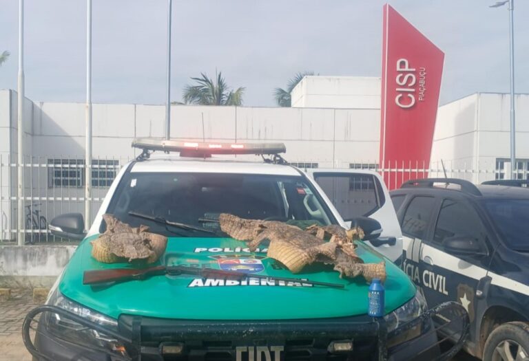Polícia apreende espingarda e peles de animais no interior