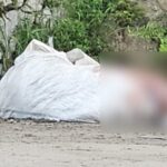 Corpo achado dentro de saco plástico é de adolescente, diz IML