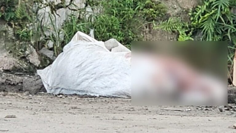 Corpo achado dentro de saco plástico é de adolescente, diz IML
