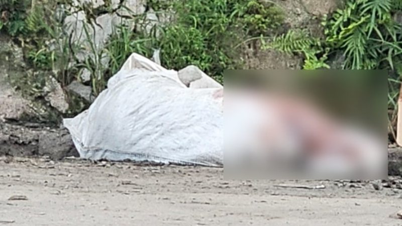 Corpo achado dentro de saco plástico é de adolescente, diz IML