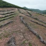 Ação coordenada resulta na prisão do maior desmatador da Caatinga em Alagoas